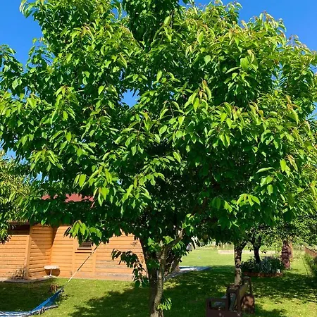 Sunny Place Apartment Bihac