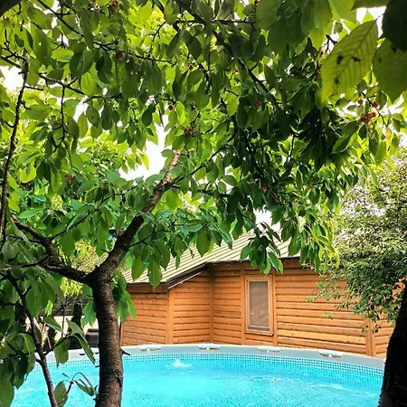 Sunny Place